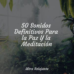 Corrientes Sinuosas