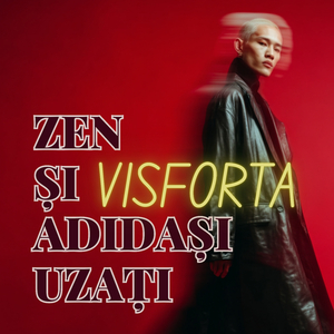 Despre frumusețea distanței