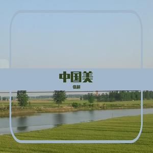 中国美