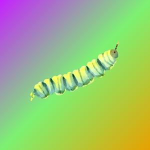 caterpillar