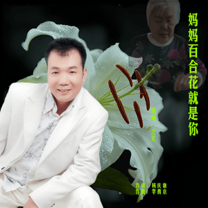 妈妈百合花就是你-兰天 伴奏