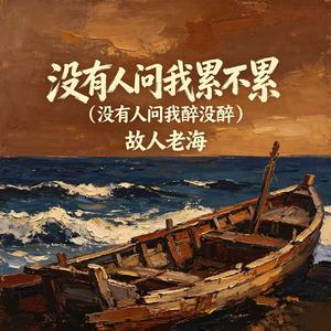 没有人问我累不累（没有人问我醉没醉）