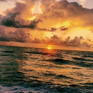 Flyfishing In A Open Stream