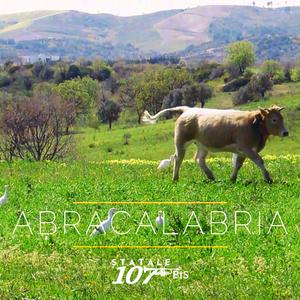 Abracalabria (feat. M° Raffaele Zumpano)