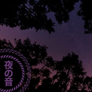 夜の音