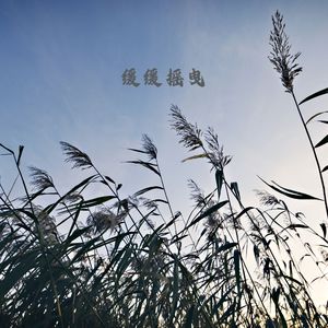 缓缓摇曳 (静心曲)