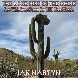 To the End of the Wilderness (from "Wild Arms") (Low Whistle and Guitar Duet Arrangement)