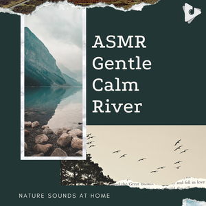 Ambient River for Dogs
