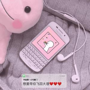 想要带你飞回大理