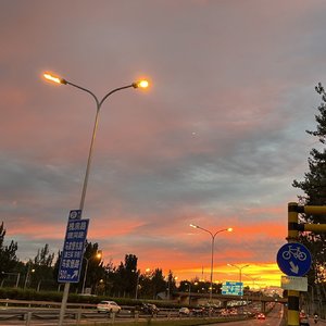 They Call This Feeling Love