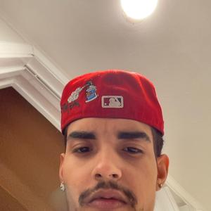 North Hollywood Blvd