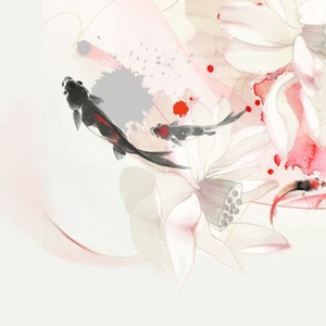 锦鲤抄（Cover 银临，云の泣）