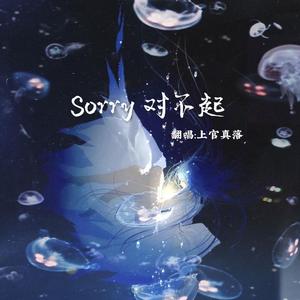 Sorry 对不起