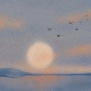 周深-起风了（钢琴）（杨章隐 remix）