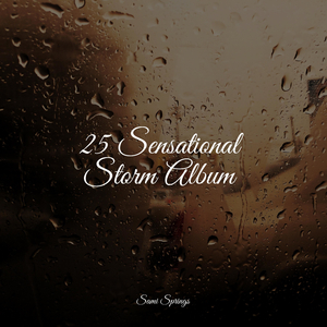 Beach, Waves, Lapping, Medium