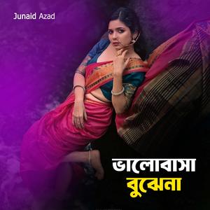 ভালোবাসা বুঝেনা