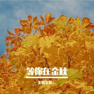 我在一首情歌里想你