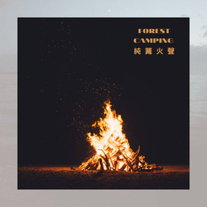 冬季夜晚篝火燃烧声