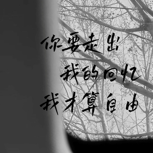 你要走出我的回忆我才算自由