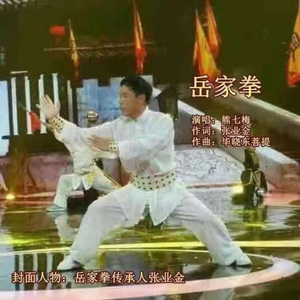 岳家拳 后期