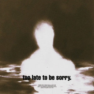 too late to be sorry. (Super Slowed + Reverb)