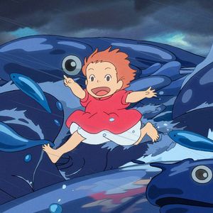 这个夏天追到你