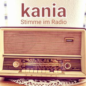 Stimme Im Radio