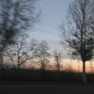 癞皮狗（伴奏）