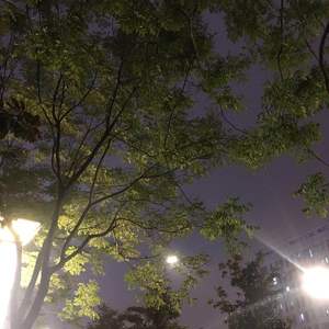 I Know You So Well(Jocelyn Flores Remix)