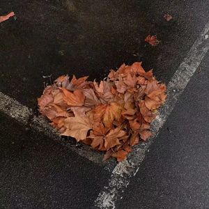 想在一个美好的晚上