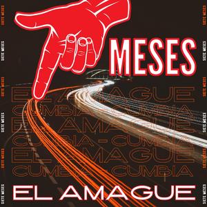 7 Meses