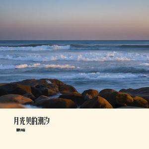 月光贝的潮汐