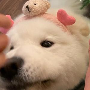 别欺负我的兄弟