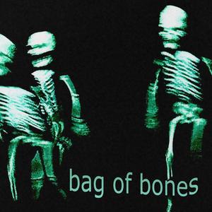 i am a bag of bones