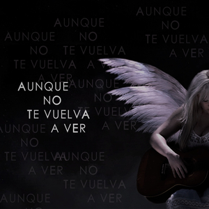 Aunque No Te Vuelva a Ver