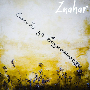 Спасибо за возможности