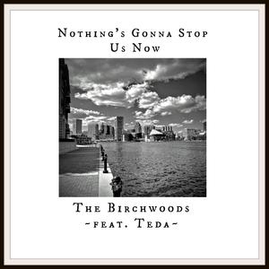 Nothing's Gonna Stop Us Now (feat. Teda)