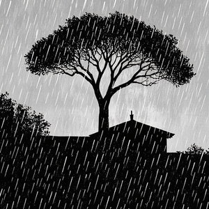 Memories by the Rainy Window