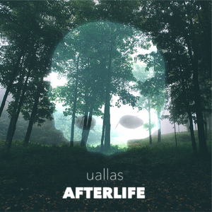 Afterlife (Original Mix)