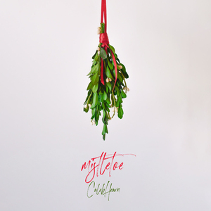 Mistletoe