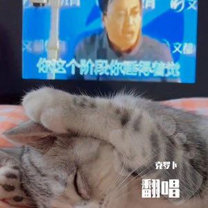 樱花树下（Live）