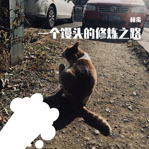 棠梨煎雪