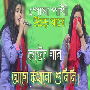 Posha Pakhi Ure Jabe