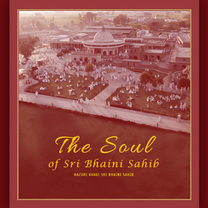 Raag Darbari Sitar and Santoor