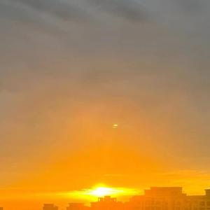 她把看法揉成一朵花