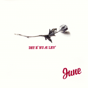 Bærre Si Det Som Det E'