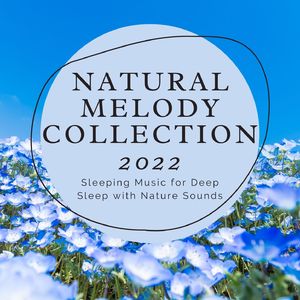 Deep Sleep with Nature Sounds
