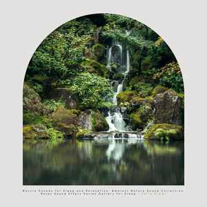 Frogs at the Summer Pond