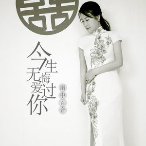 今生无悔爱过你