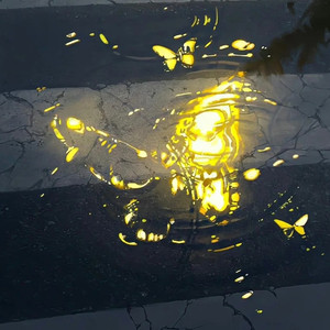 我问月亮啊月亮 全幺九